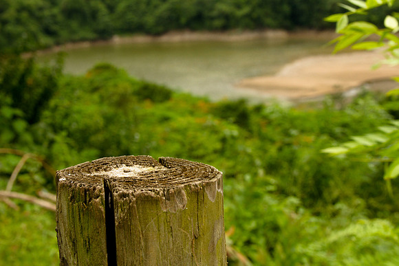 Fence post by Yauco's lake