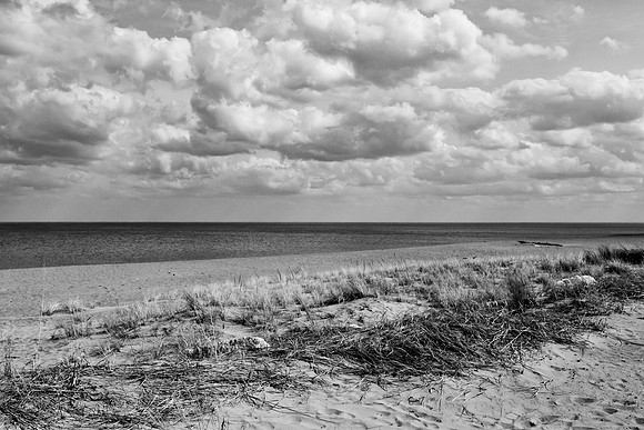 Illinois Beach State Park