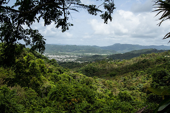 Barrio de Caguas