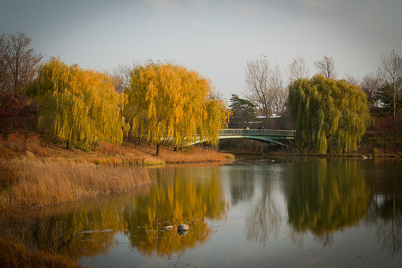 Bridge to Evening Island