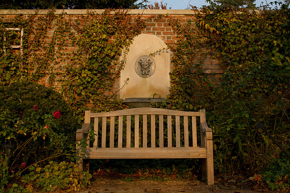 Bench at English Walled Garden