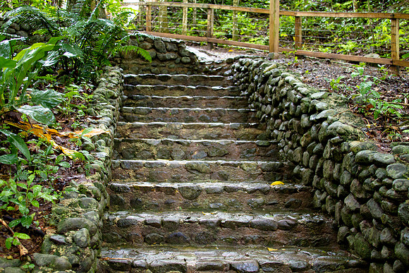Hacienda Buena Vista